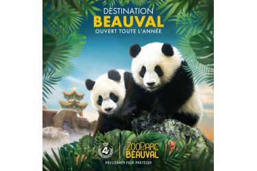 Coffret Cadeau ZooParc De Beauval - Séjour 1 Jour / 1 Nuit